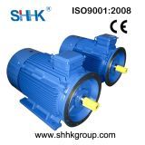 Ydh Series High Slip Electric Motor (Variable-Pole and Multi-Speed)