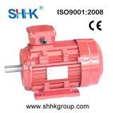 Ie1 Ie2 Aluminum Electric Induction Motor