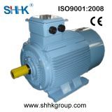 Ie1 Series Three-Hase Asynchronous Motor (H80-355)