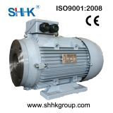 High Effeciency Ie2 Hollow Shaft Hydraulic Motor