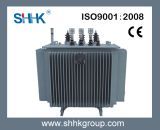 Oil-Immersed Electric Distribution Transformer (S9 series 10KV)