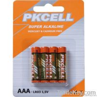AAA/RO3p/Um-4 1.5V Super Heavy Duty Battery (Carbon Battery)