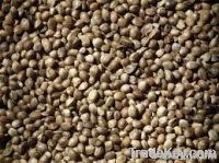 Flax Seeds, Jatropha Seeds, Rape Seeds, Castor Seeds, Cotton Seeds, Ro