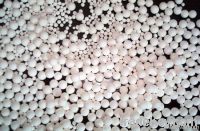 Alumina ceramic ball