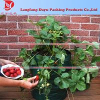 Portable 10 gal PE strawberry woven gardening planter bag