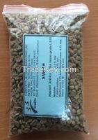 Vietnam Arabica green coffee beans S18