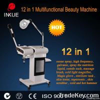 CE 12 in 1 hot sale multifunctional beauty equipment