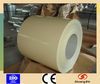 Prepainted Galvanized Steel Coil/PPGI