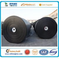 Fabric reinforced nylon conveyor belt