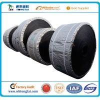 Chinese golden supplier polyester conveyor belt