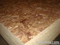 OSB Board