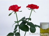 Rose oil