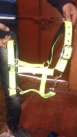 Reflective PP Horse Halters, size pony cob,full