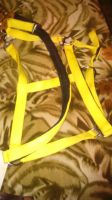 PP Horse Halters yellow, size pony cob,full