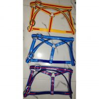 Genuine Imported PVC Colorful Horse Halters with rust proof fittings