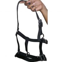 Genuine imported PP horse halter with Rust proof fitting Black