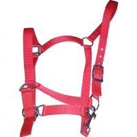 Genuine imported PP horse halter Red with Rust proof fitting