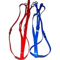 Genuine PVC horse Martingales Blue and Red with rust proof steel fittings