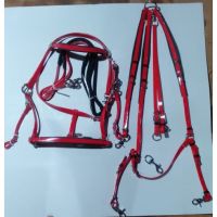 Genuine imported PVC horse Riding bridle And Breastplate Red with rust proof Steel fittings