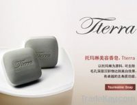 Far-infrared Anion Cleansing Bar Soap-Tterra