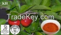 Acerola Cherry Extract Vitamin C 25%