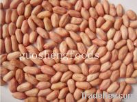 good quality new crop shandong peanuts kernels
