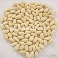 2013 new crop shandong big size blanched peanut kernels