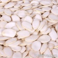 2013 crop snow white pumpkin seeds with good quality