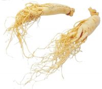 Herbal Ginseng Root Extract for food supplement