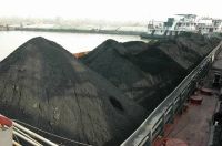  Thermal/steam coal 