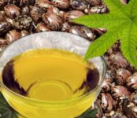 High quality castor oil