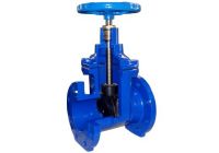 resilient seated gate valve,resilient wedge gate valve