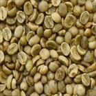 Robusta Green Coffee BeanS13, S16, S18