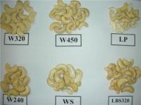 Cashew Nuts (All Grades)