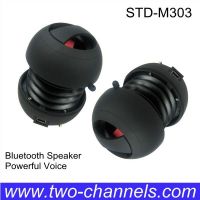 Portable Bluetooth Wireless Speaker Supporting Iphone, IPOD, MP3/4, Computer and Laptop