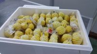 PREMIUM Frozen pineapple / PHULAE Variety, / Northern TH