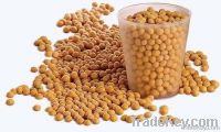 Soybeans