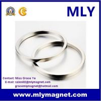 Special Neodymium Rare Earth Permanent Sintered NdFeB Large Ring Magnet