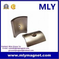 Neodymium Permanent Sintered Irregular Custom Special NdFeB Magnet