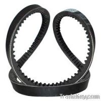 Industry timing belt and auto timing belt