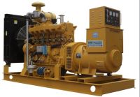 40kW Biogas Generator Set