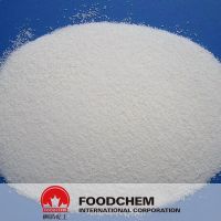 Creatine Monohydrate Powder