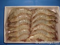 Frozen Vannamei Prawns