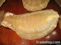 Dried Sea Cucumber / Dried Fish Maw