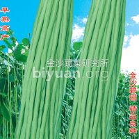 Yardlong Bean Seed