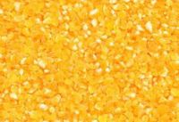 corn grains 