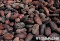 Cocoa beans