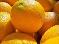 FRESH VALENCIA ORANGE