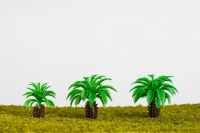 scale model tree    / palm  tree