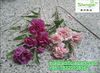 Stock carnation artificial flowers